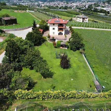 Il Gallo Pergine Valsugana Exterior foto